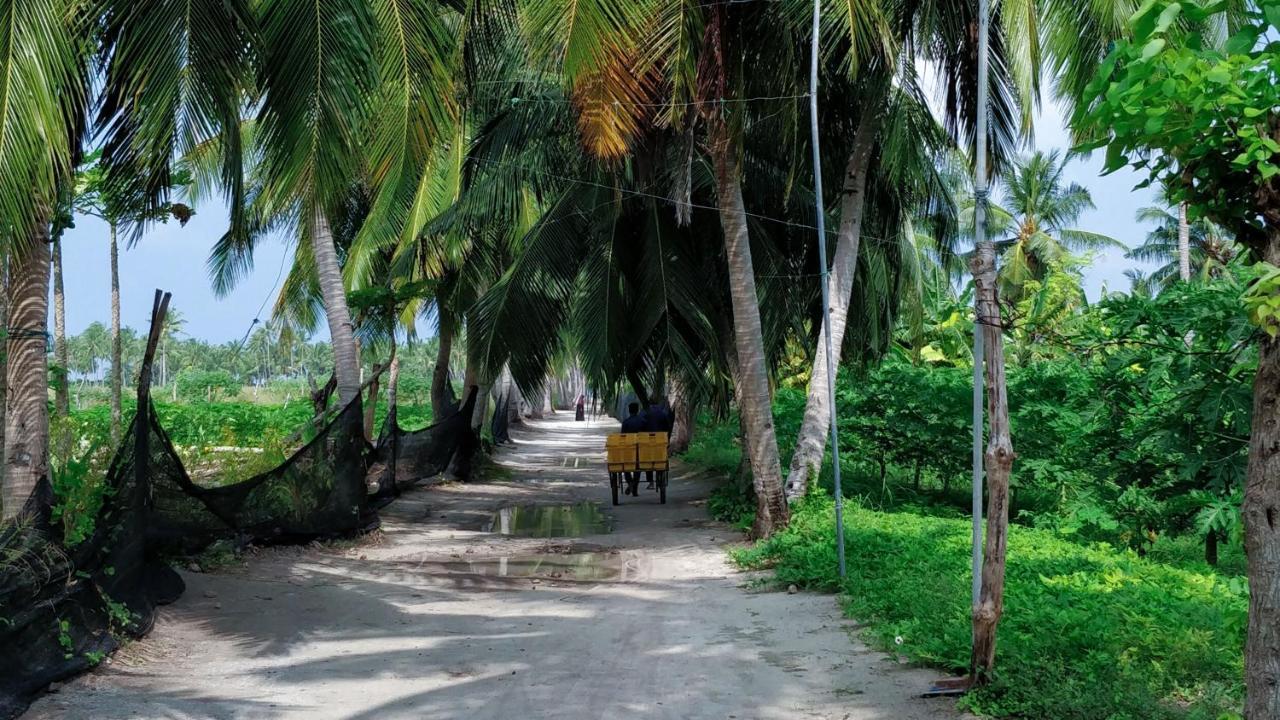 Muraka Inn Thoddoo Extérieur photo